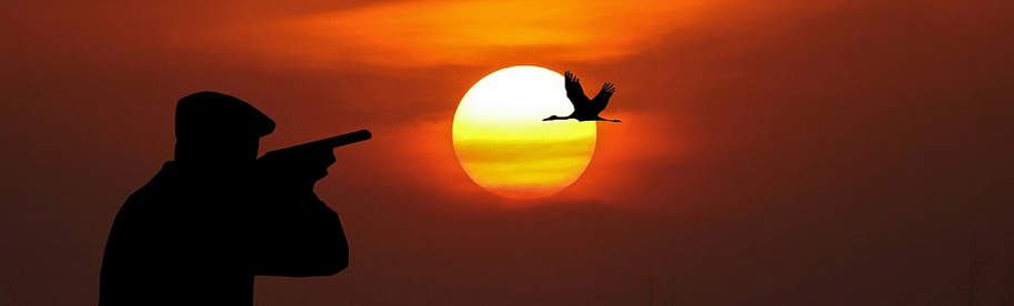 A hunter who needs gun safe financing.