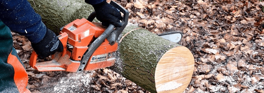 Cutting a tree after chainsaw financing.