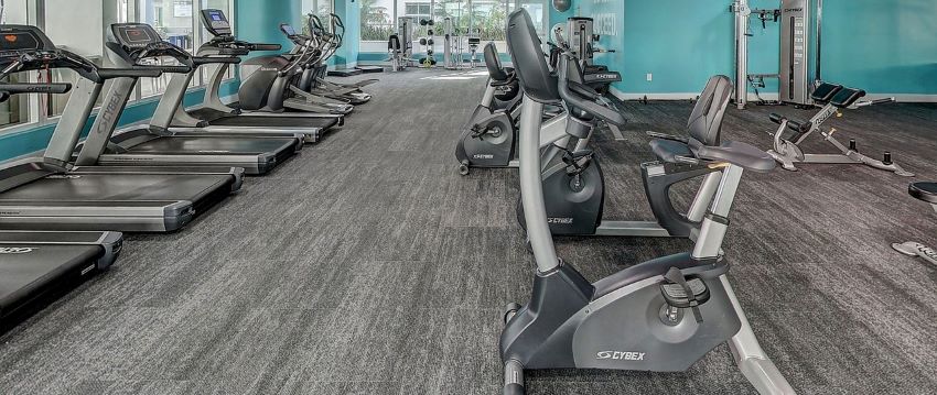 Cardio equipment that was purchased with financing.