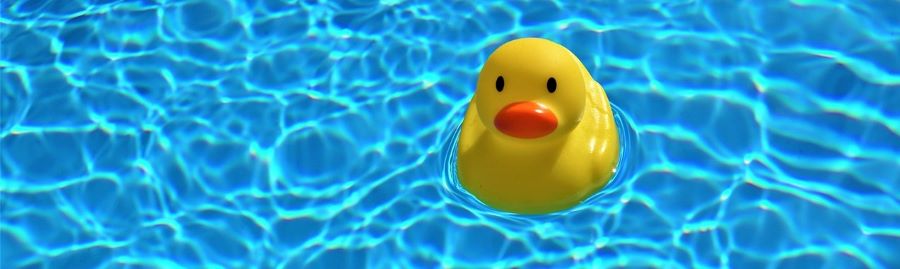 A toy duck in an above ground pool paid for with a loan.