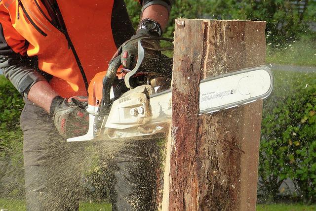 Cutting wood with a chainsaw from a loan.