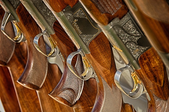 Rifles purchased with a hunting loan.