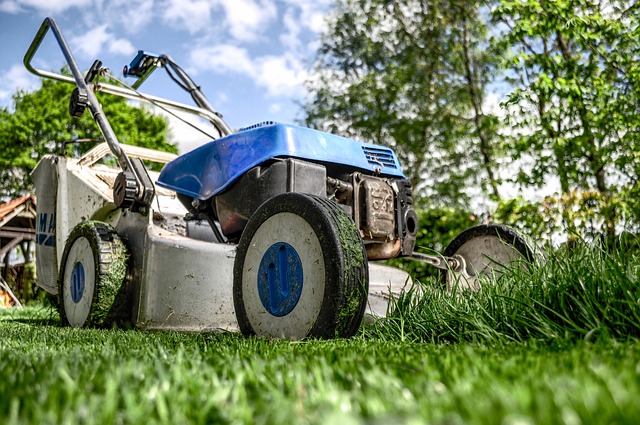Lawn mower from a loan.