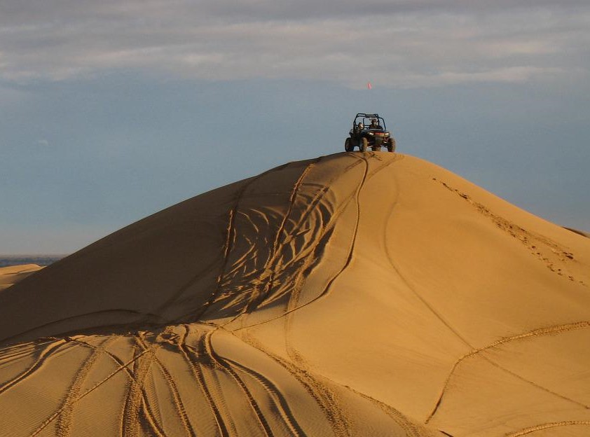 Side by side on a dune.