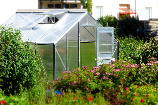 Greenhouse with an open door.