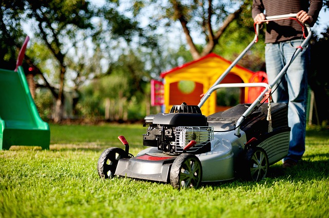 Lawn mower purchased with a loan.