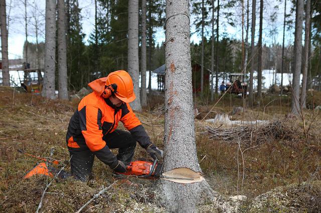 Man using logging equipment from bad credit financing.