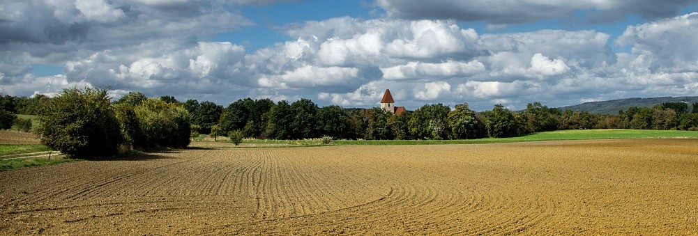 Open farm.