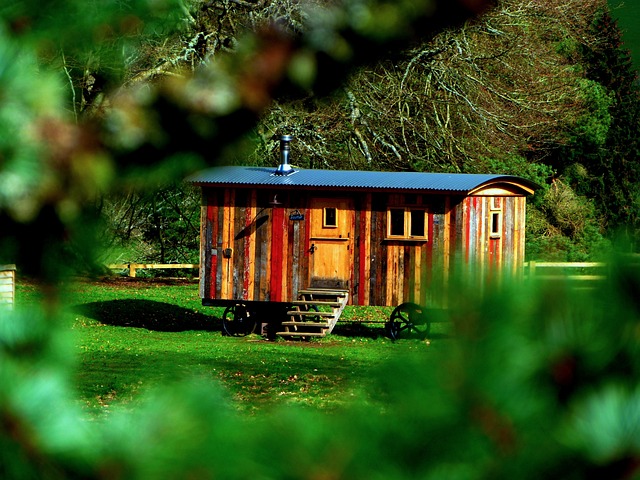 Tiny house paid for with financing.
